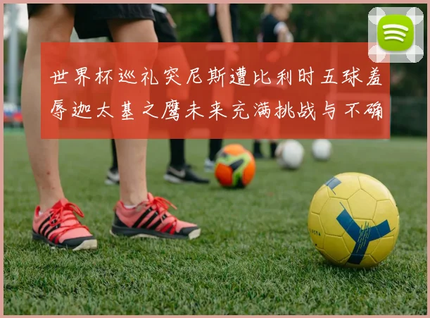 世界杯巡礼突尼斯遭比利时五球羞辱迦太基之鹰未来充满挑战与不确定性