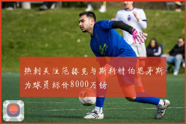 热刺关注范赫克与斯科特伯恩茅斯为球员标价8000万镑